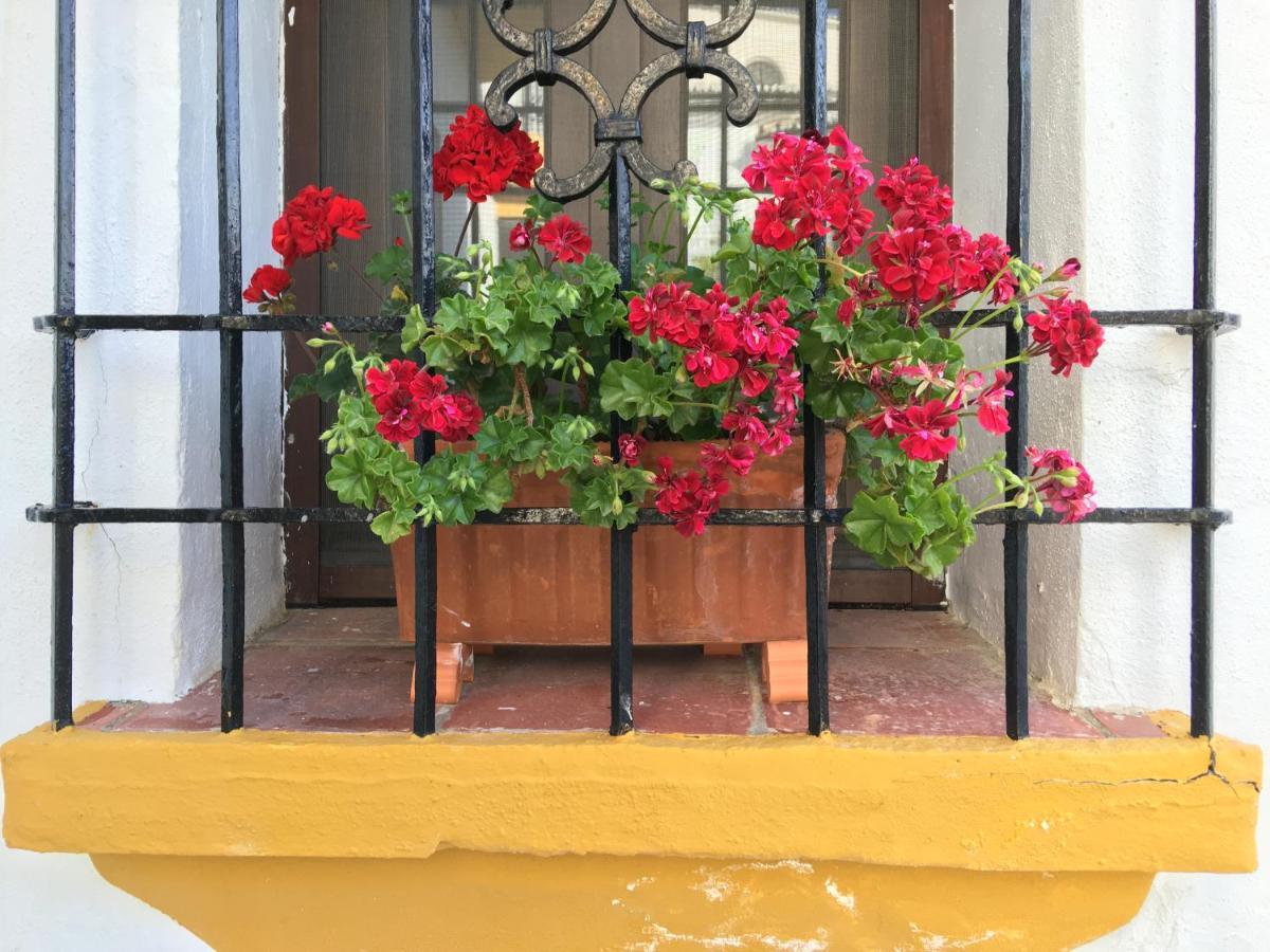 La Escondida Ronda, B&B מראה חיצוני תמונה