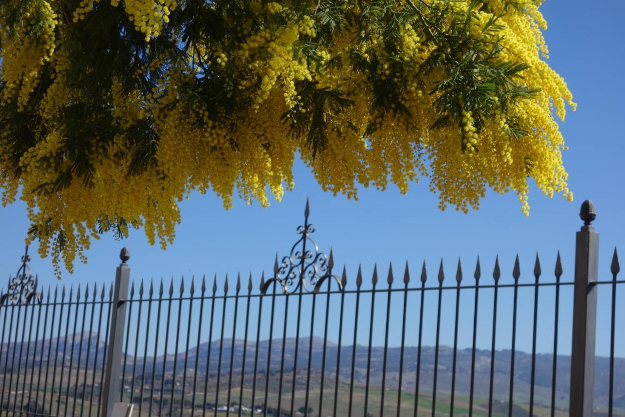 La Escondida Ronda, B&B מראה חיצוני תמונה